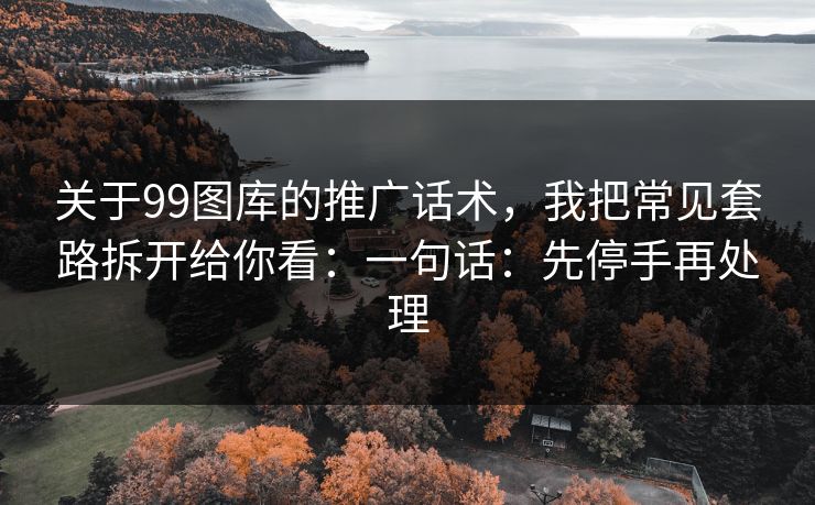 关于99图库的推广话术，我把常见套路拆开给你看：一句话：先停手再处理