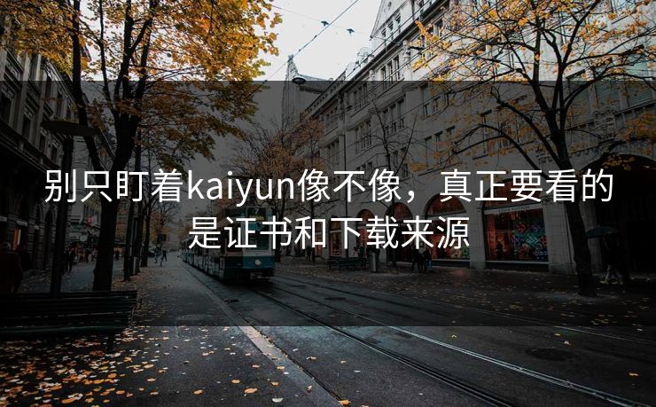 别只盯着kaiyun像不像，真正要看的是证书和下载来源