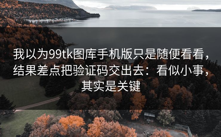 我以为99tk图库手机版只是随便看看，结果差点把验证码交出去：看似小事，其实是关键