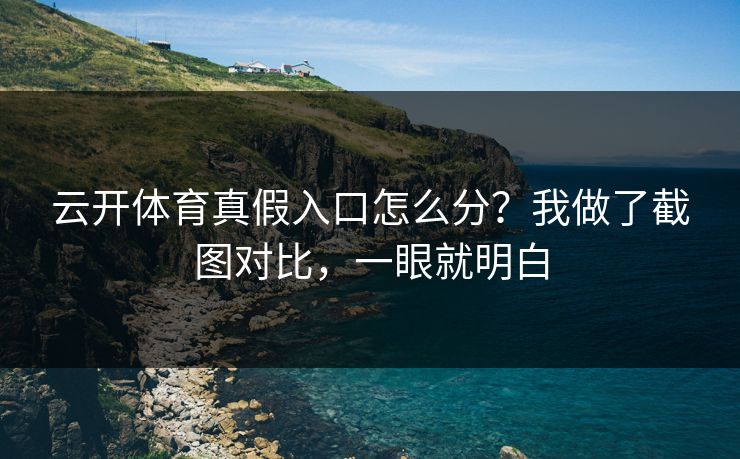 云开体育真假入口怎么分？我做了截图对比，一眼就明白