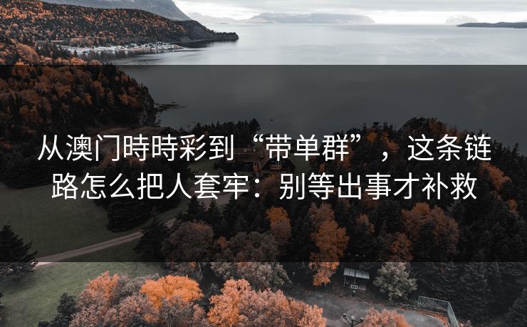 从澳门時時彩到“带单群”，这条链路怎么把人套牢：别等出事才补救